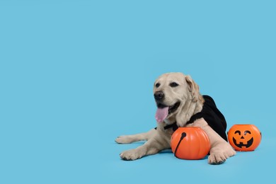 Photo of Cute Labrador Retriever dog in black cloak with Halloween buckets on light blue background. Space for text