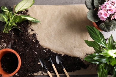 Photo of Flat lay composition with pots, home plants and gardening tools on grey background. Space for text