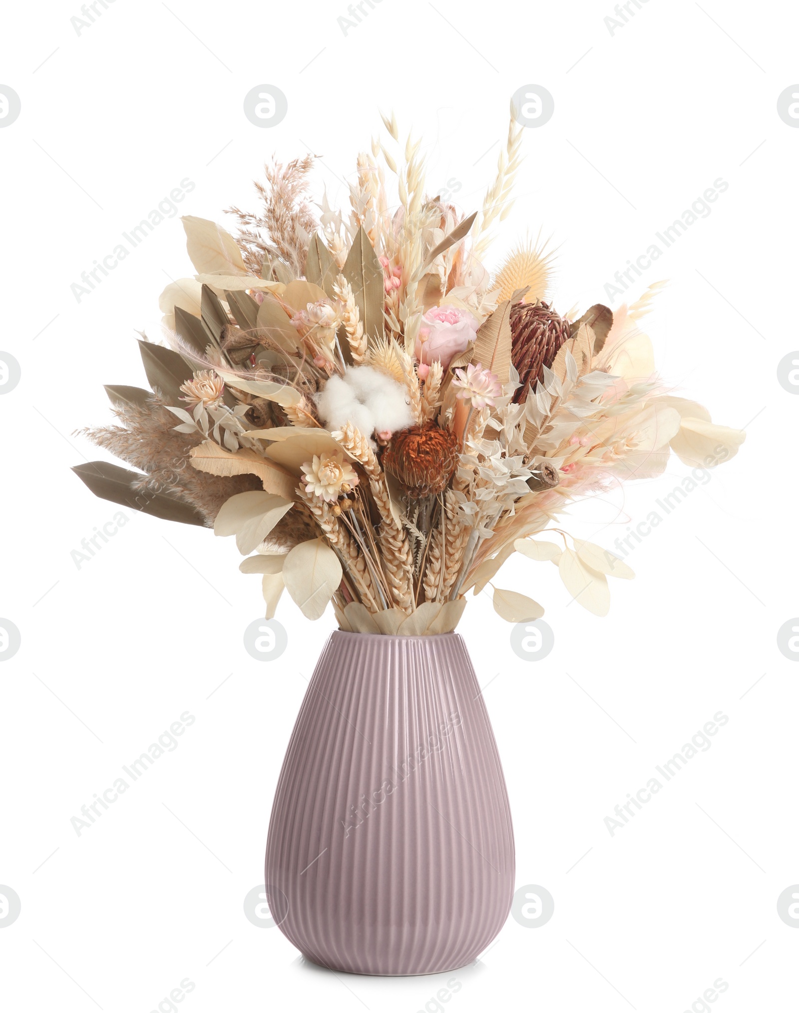 Photo of Beautiful dried flower bouquet in ceramic vase isolated on white