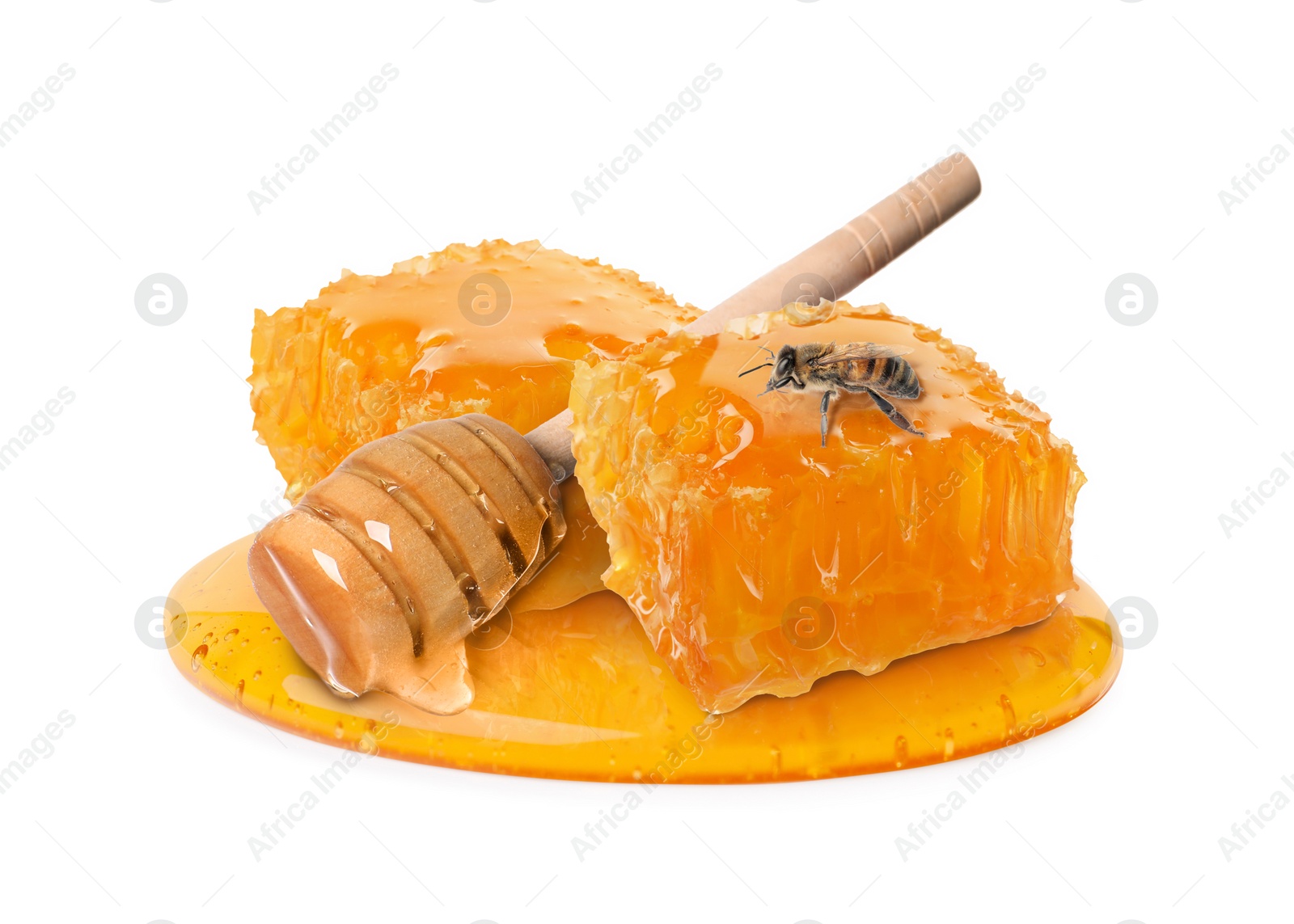 Image of Tasty honeycombs, dipper and bee on white background