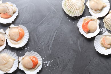 Fresh raw scallops on grey table, flat lay. Space for text