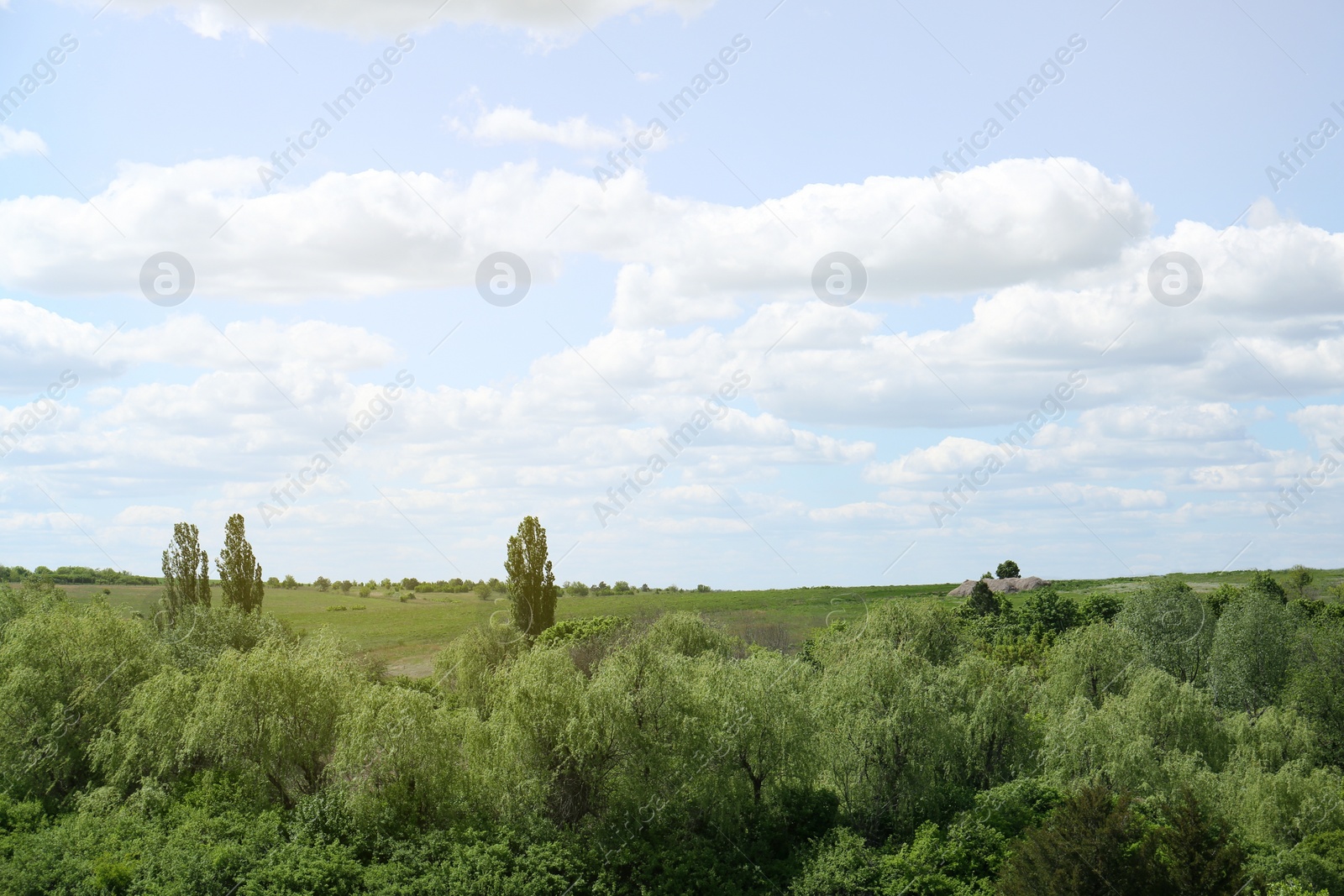 Photo of Beautiful landscape with green trees on sunny day