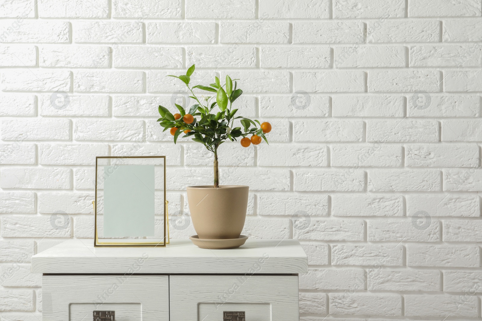 Photo of Potted citrus tree and empty frame on cabinet against brick wall. Space for text