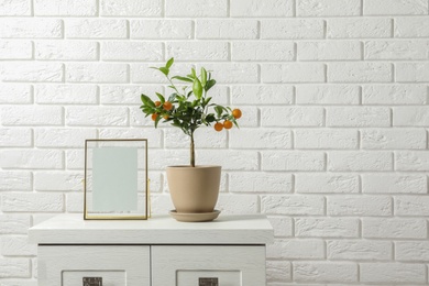 Photo of Potted citrus tree and empty frame on cabinet against brick wall. Space for text