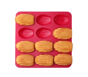 Tasty madeleine cookies in baking mold isolated on white, top view