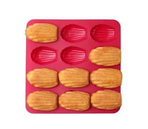 Photo of Tasty madeleine cookies in baking mold isolated on white, top view