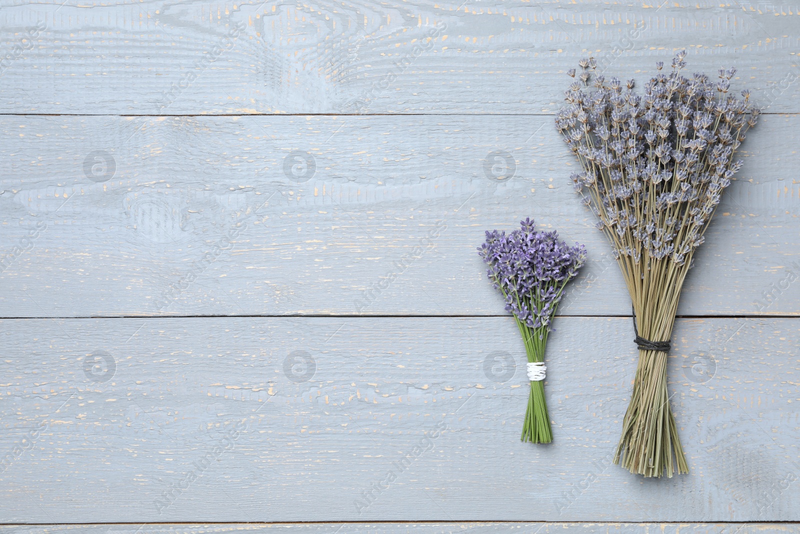 Photo of Beautiful fresh and dried lavender flowers on grey wooden table, flat lay. Space for text