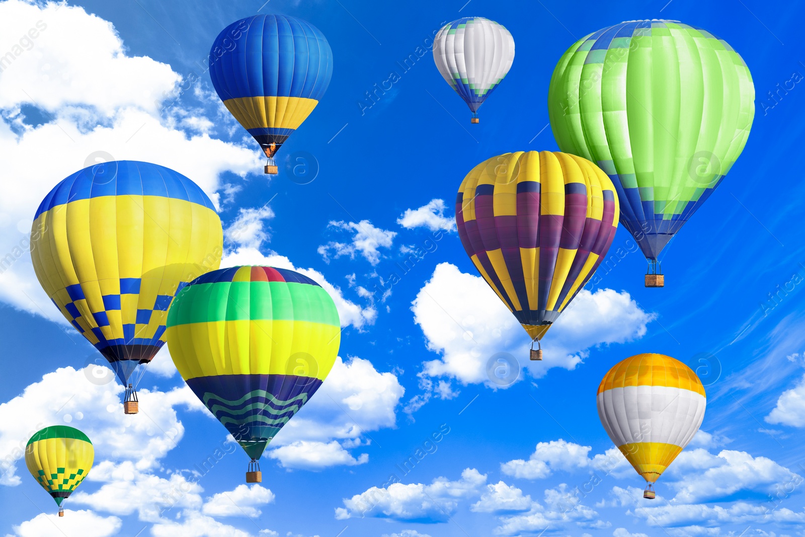 Image of Many bright hot air balloons flying in sky