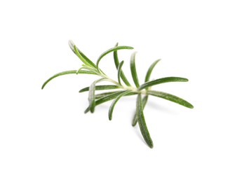 Photo of Sprig of fresh rosemary isolated on white