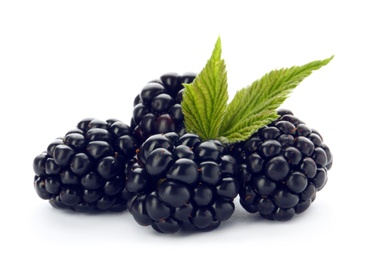 Photo of Fresh ripe juicy blackberries on white background