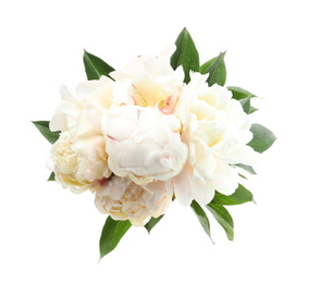 Bouquet of beautiful peonies on white background