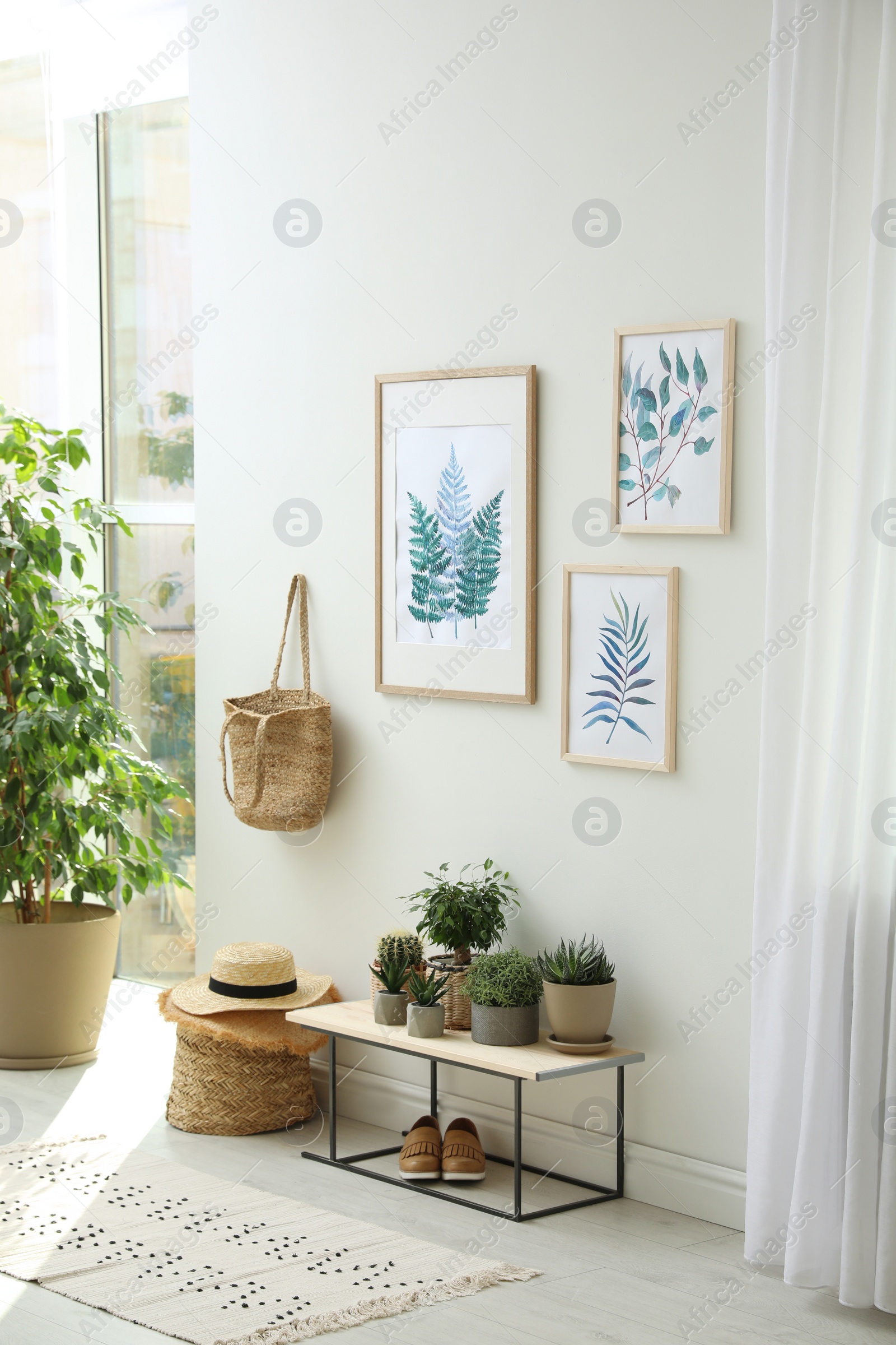 Photo of Beautiful paintings and plants at home. Idea for interior design