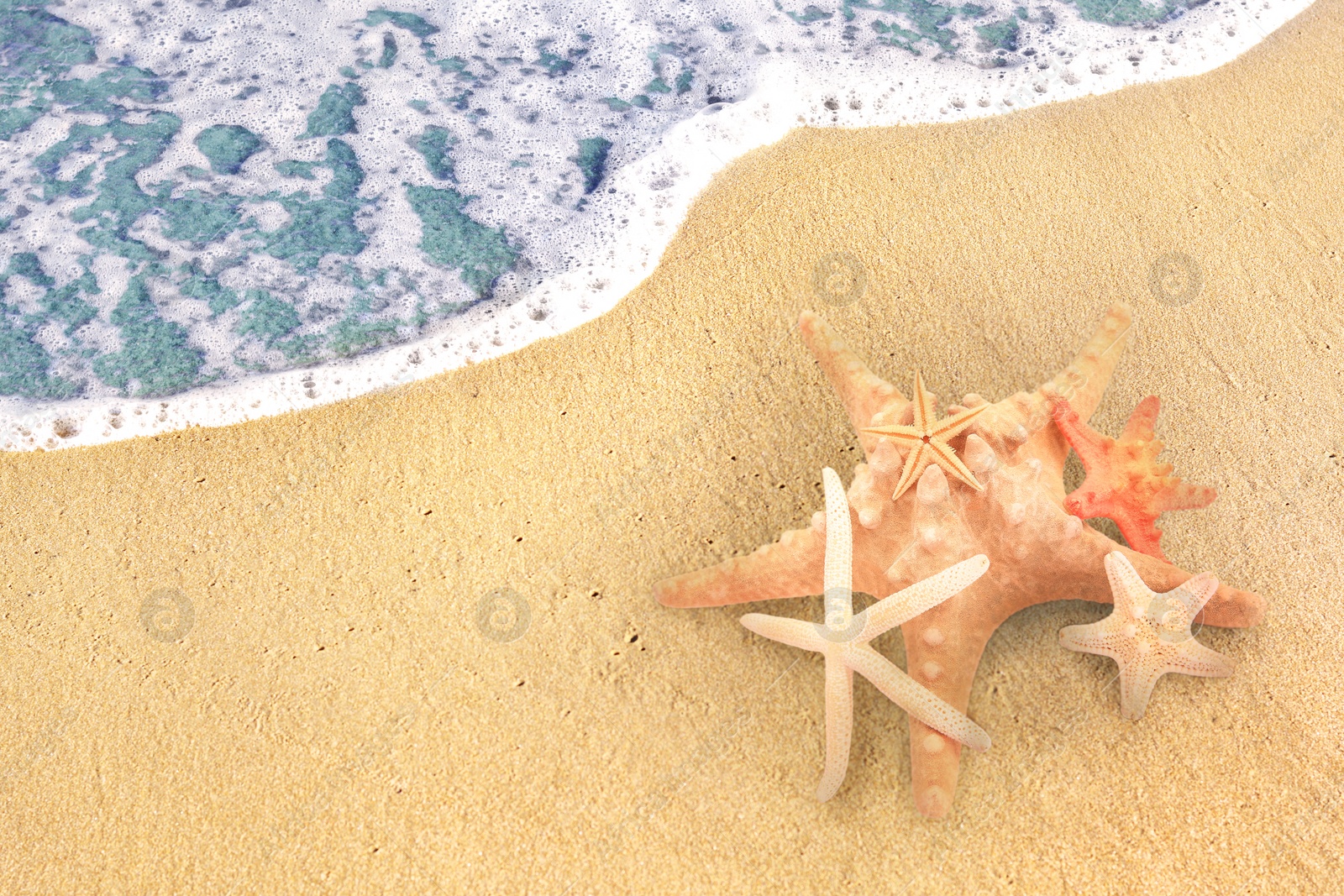 Image of Starfishes on sandy beach near sea, above view. Space for text