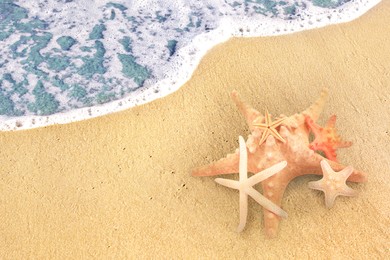 Image of Starfishes on sandy beach near sea, above view. Space for text