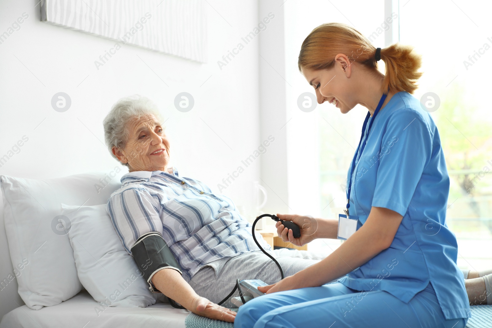 Photo of Nurse measuring blood pressure of elderly woman indoors. Medical assistance