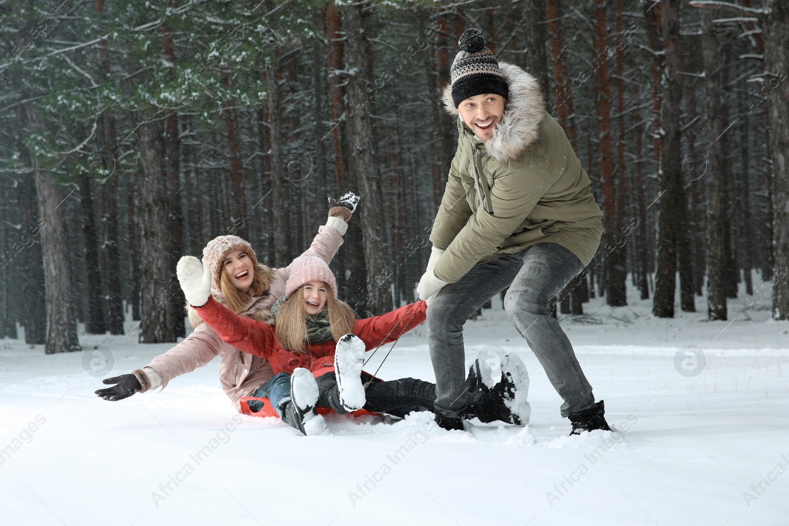 Photo of Happy family sledding in forest on snow day