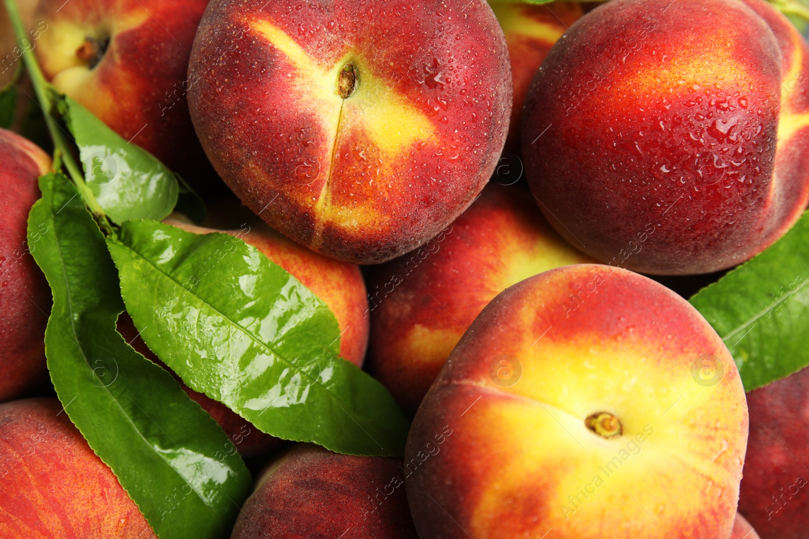 Photo of Tasty fresh peaches and leaves as background, top view