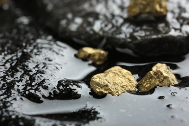 Shiny gold nuggets on wet stones, closeup