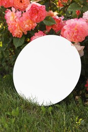 Photo of Round mirror on grass near beautiful flowers