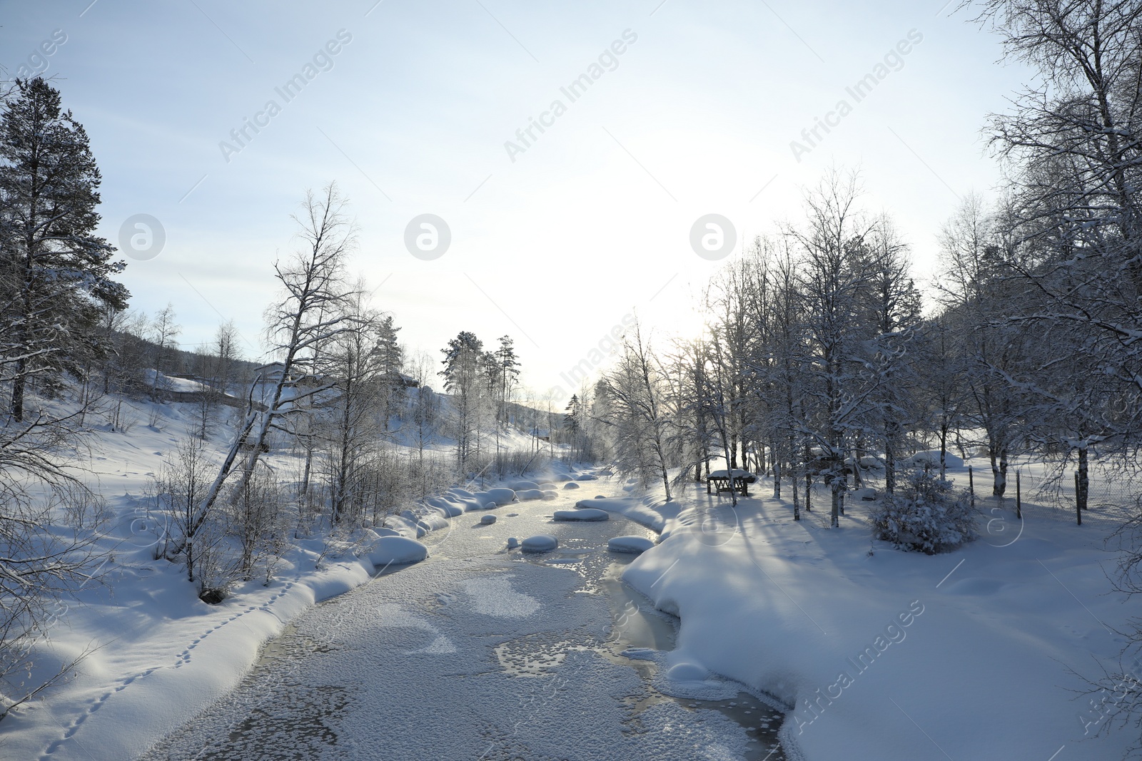 Photo of Picturesque view of frozen pond and trees covered with snow outdoors. Winter landscape