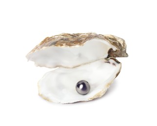 Photo of Open oyster shell with black pearl on white background