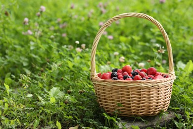 Photo of Wicker basket with different fresh ripe berries in green grass outdoors, space for text