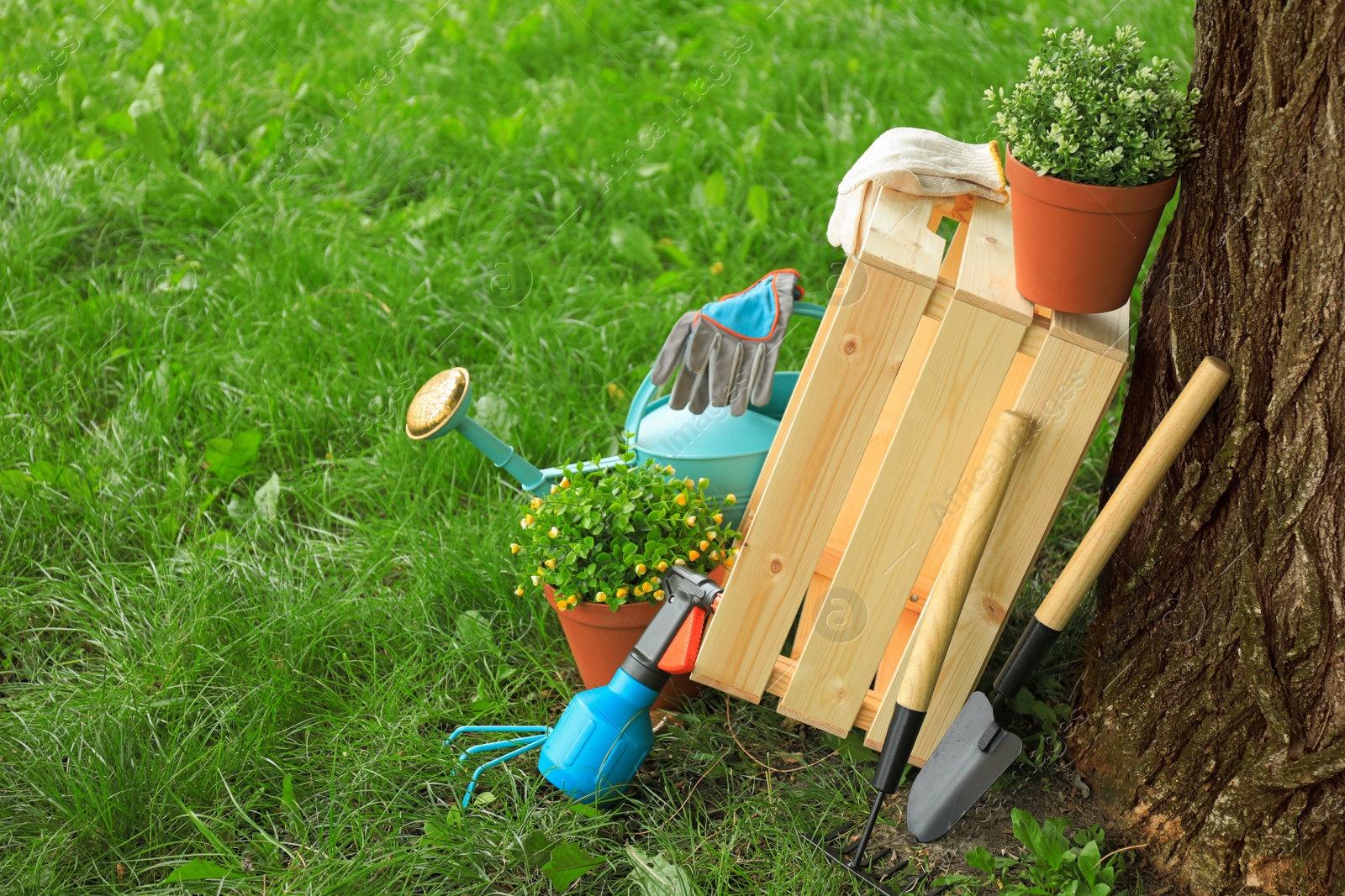 Photo of Composition with gardening tools on green grass