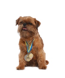 Photo of Cute Brussels Griffon dog with champion medals on white background