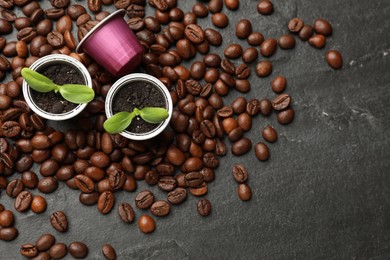 Photo of Coffee capsules with seedlings and beans on black table, flat lay. Space for text