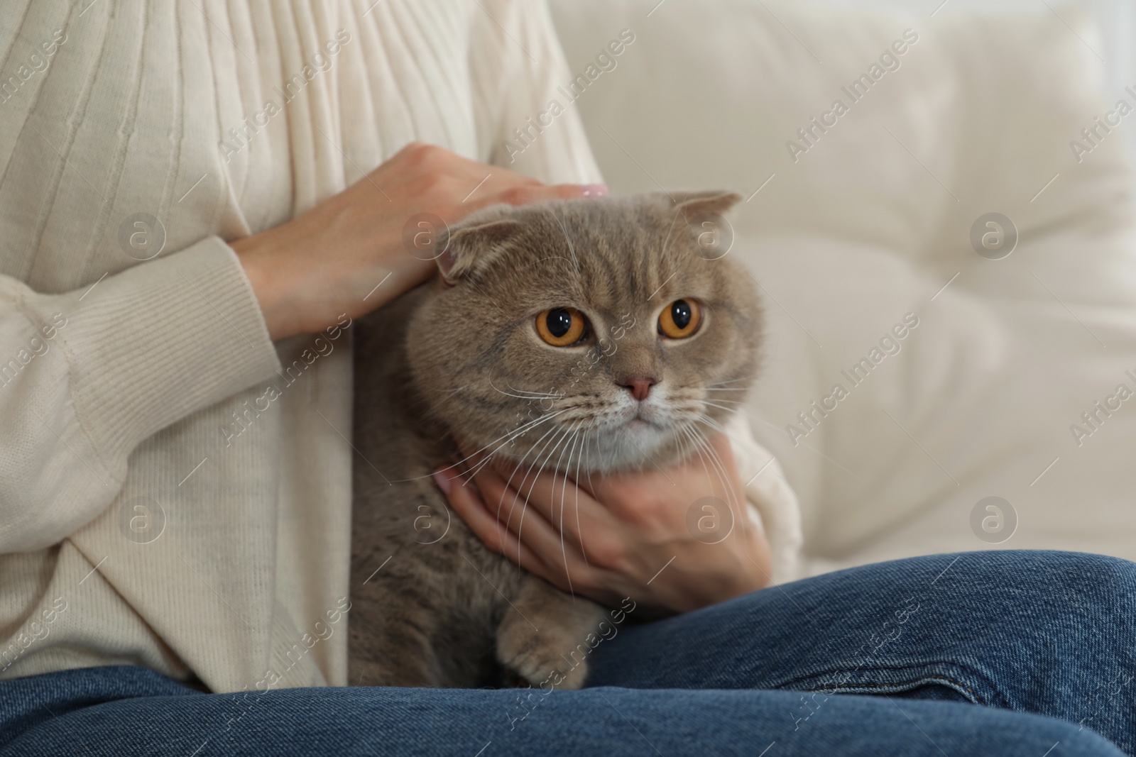 Photo of Woman with her adorable cat on sofa, closeup