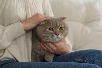 Woman with her adorable cat on sofa, closeup