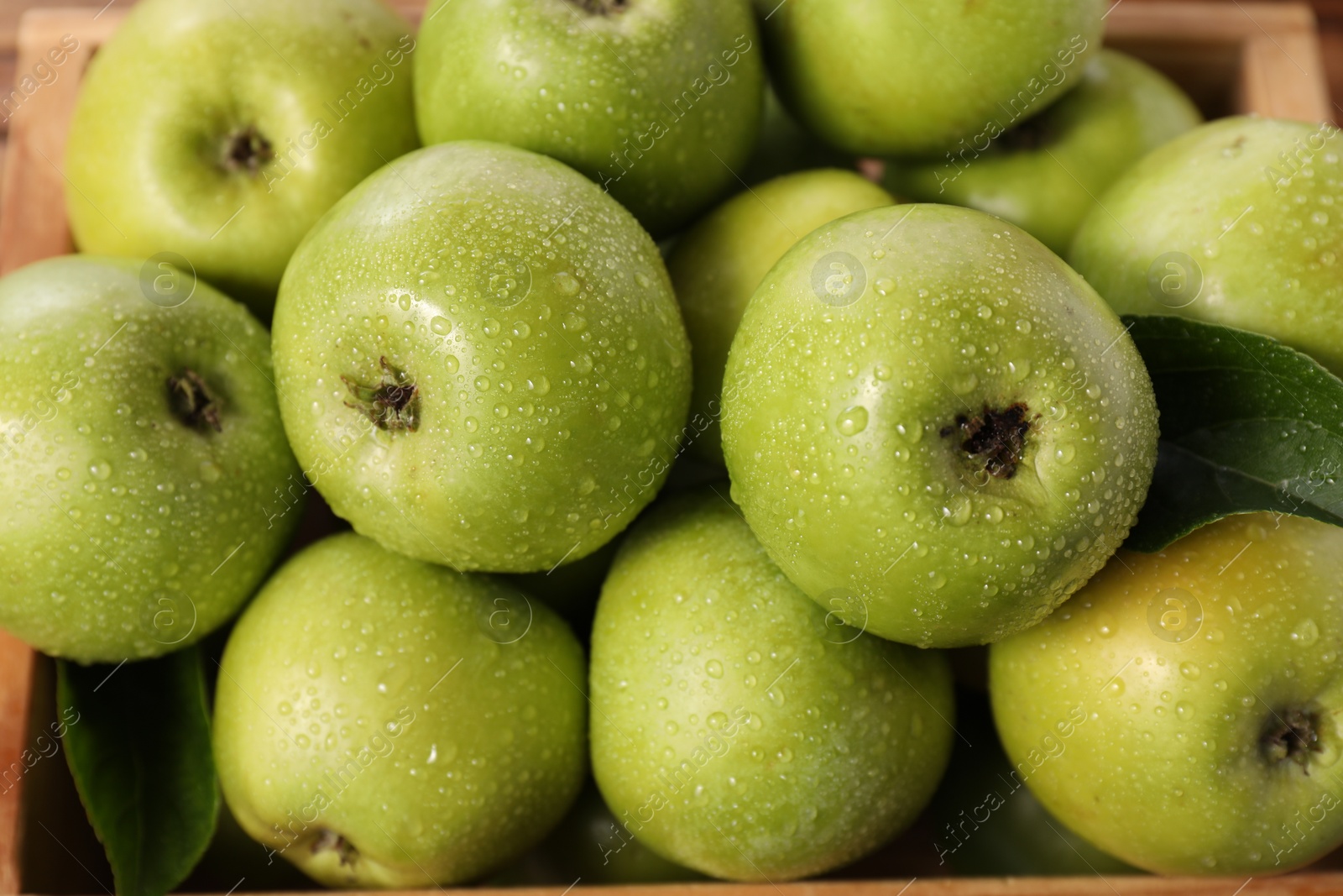 Photo of Fresh green apples with water drops in crate, closeup