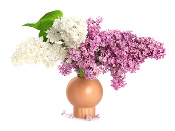 Photo of Beautiful lilac flowers in vase isolated on white