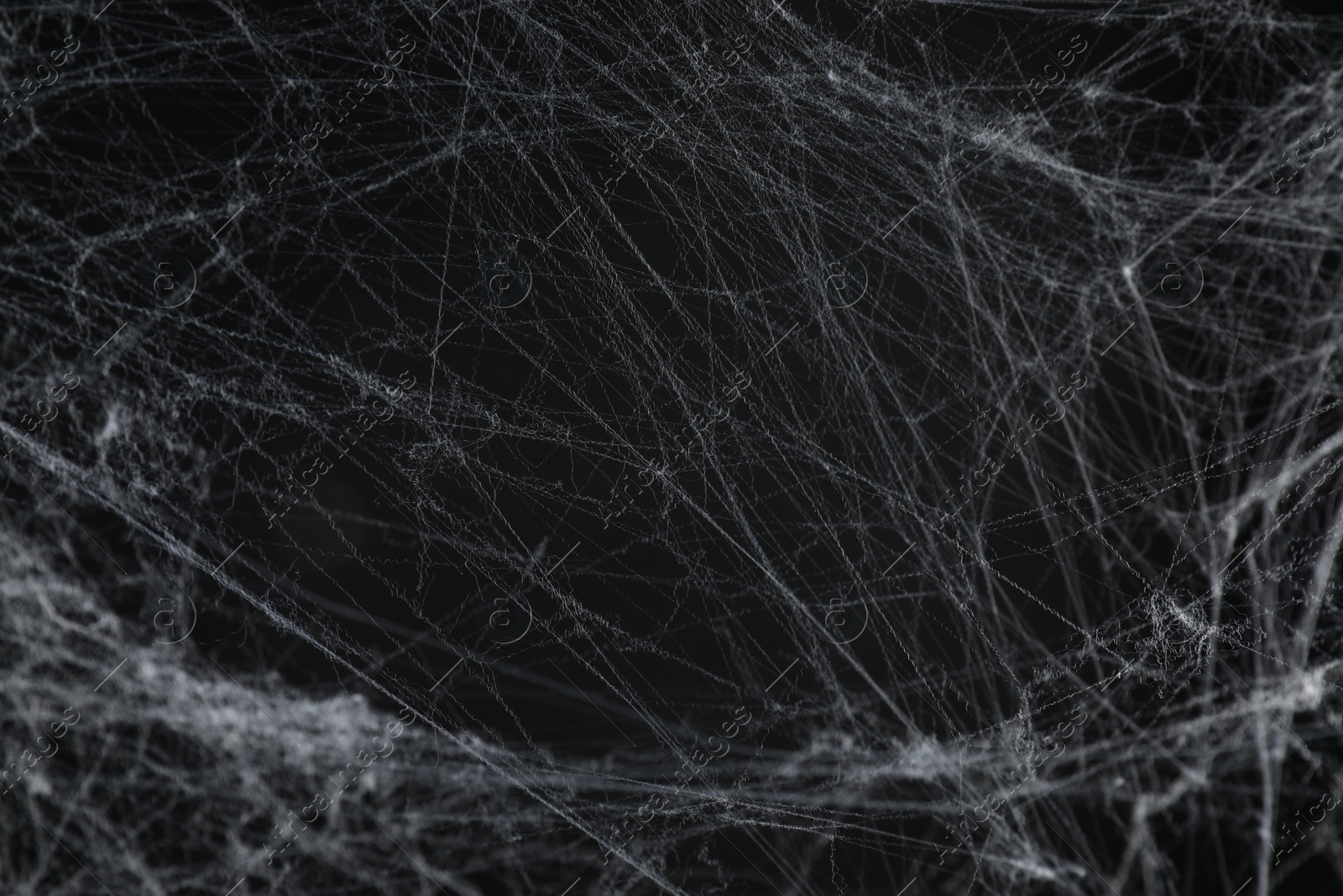 Photo of Creepy white cobweb on black background, closeup