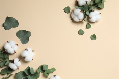 Cotton flowers and eucalyptus leaves on beige background, flat lay. Space for text