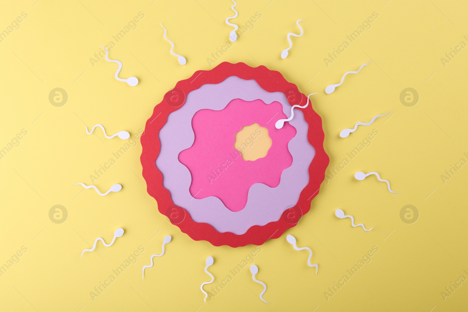 Photo of Fertilization concept. Sperm cells swimming towards egg cell on yellow background, top view