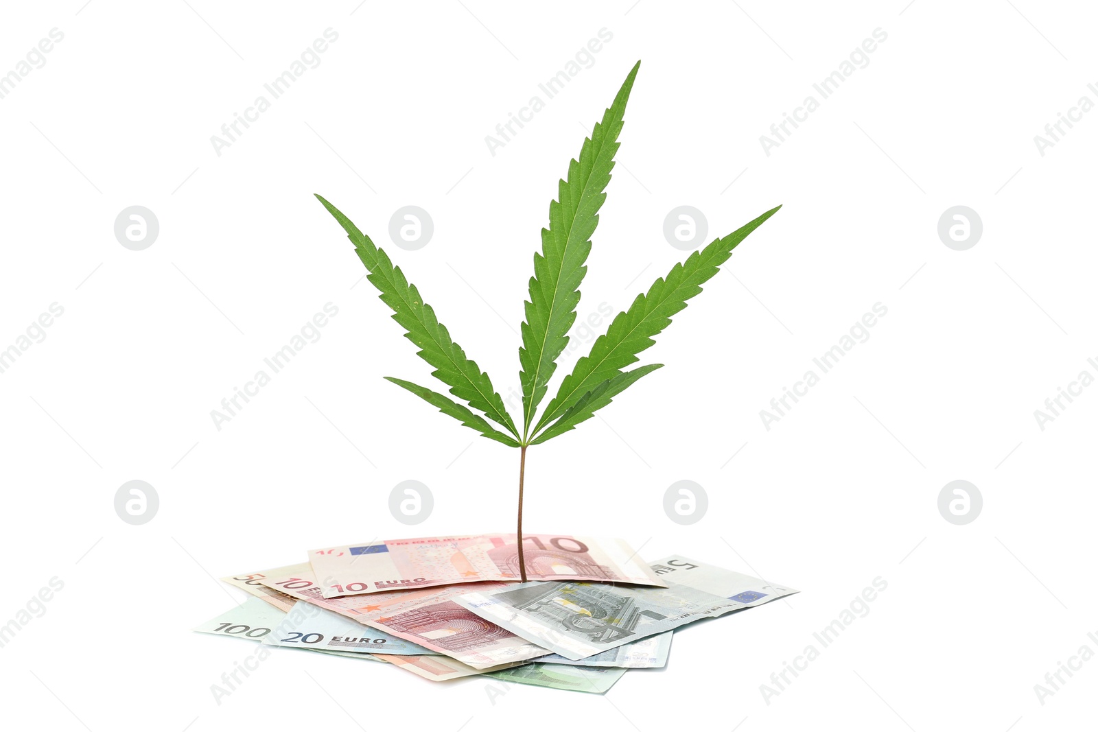 Photo of Hemp leaf and pile of money on white background