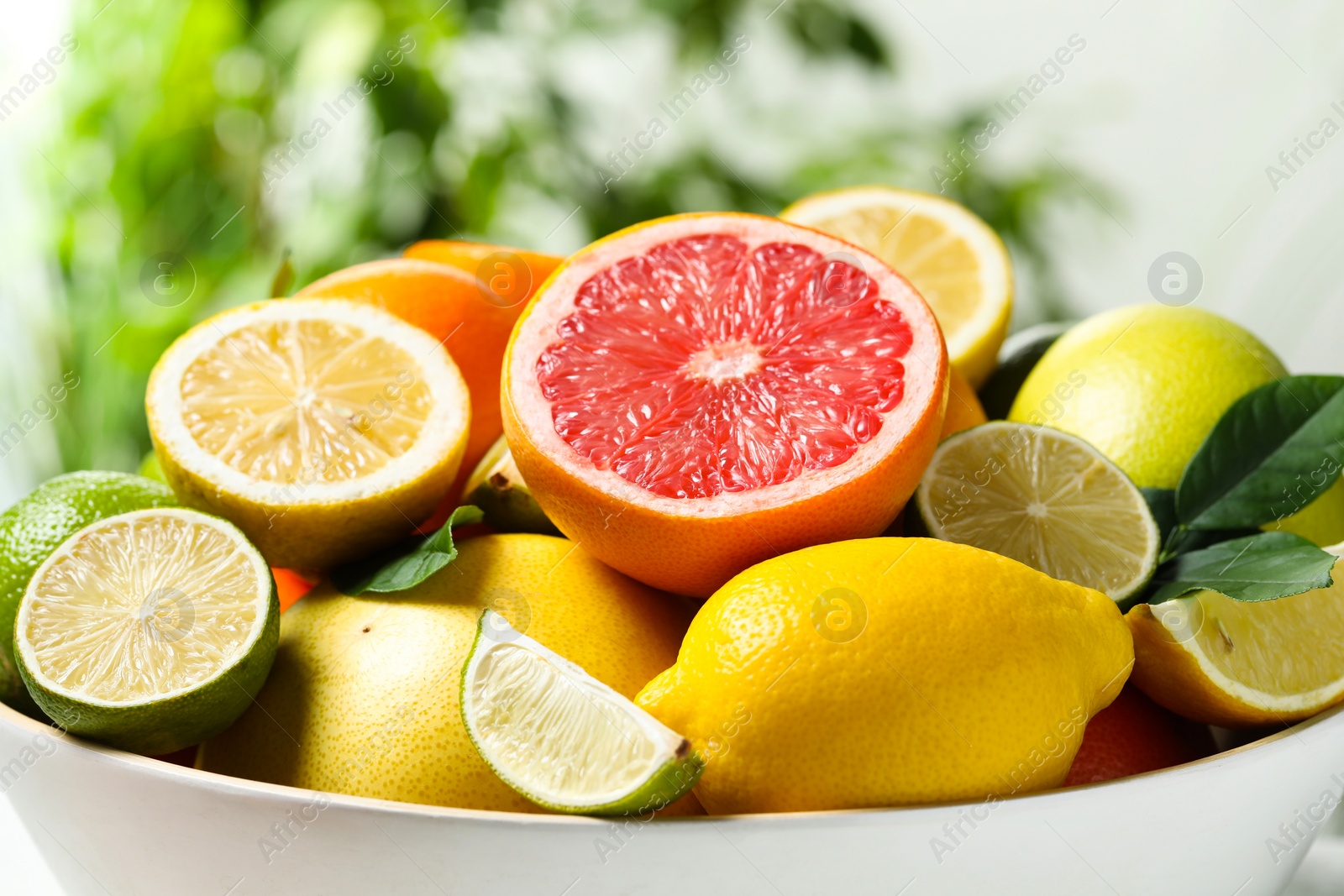 Photo of Different fresh citrus fruits and leaves in bowl against blurred background, closeup