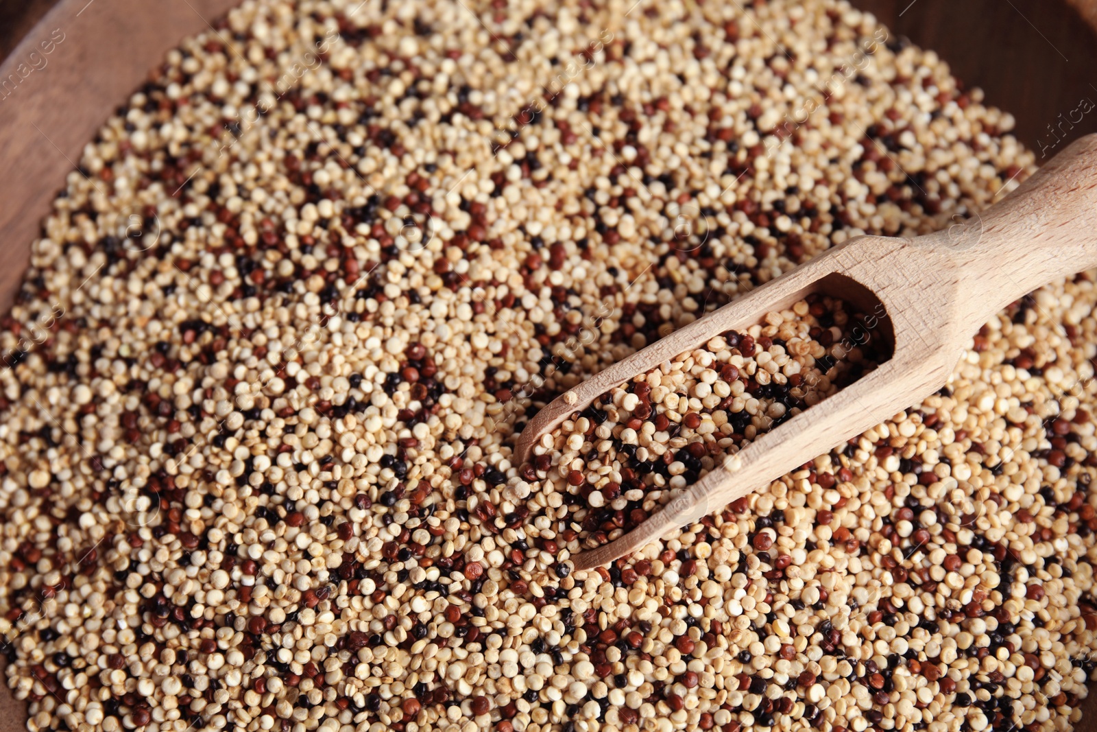 Photo of Mixed quinoa seeds with scoop in plate, closeup