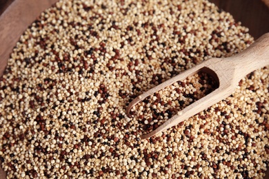 Photo of Mixed quinoa seeds with scoop in plate, closeup