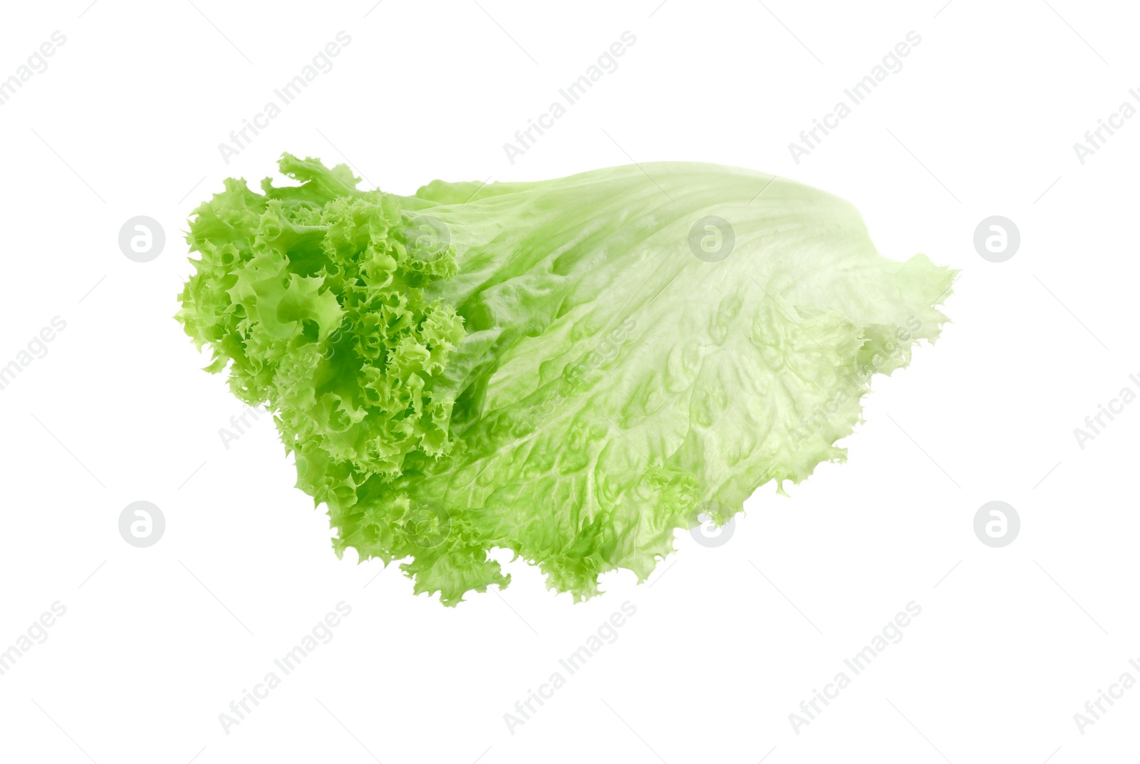 Photo of One green lettuce leaf isolated on white. Salad greens