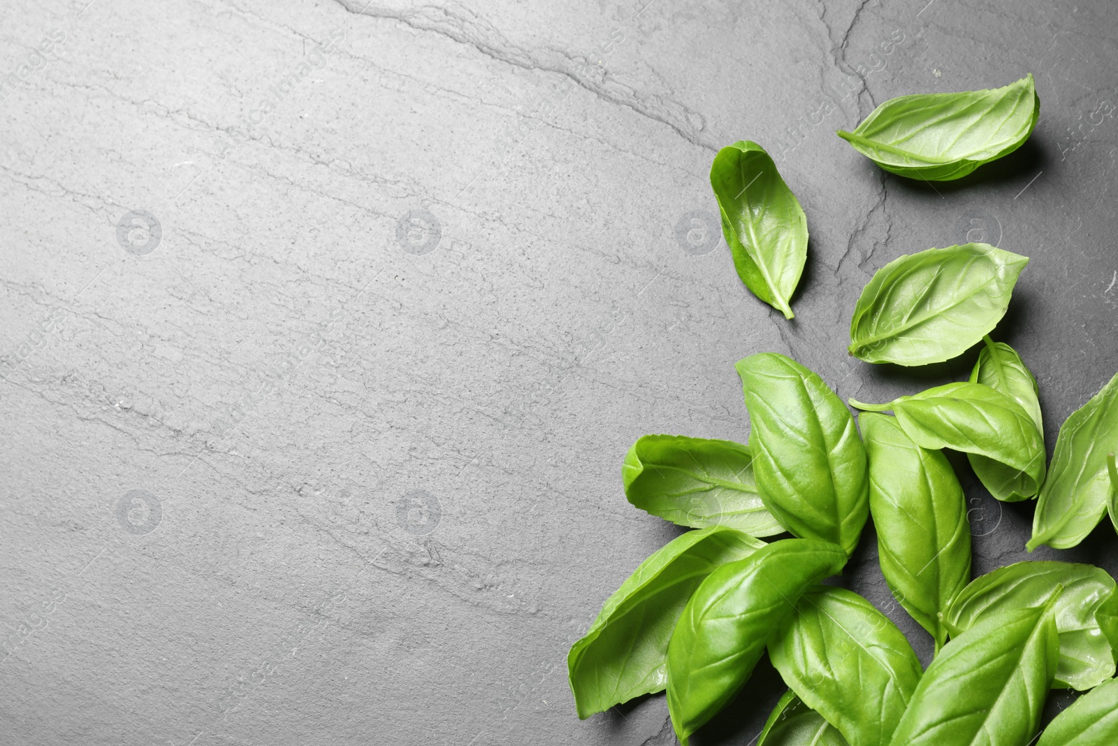 Photo of Fresh basil on grey table, flat lay. Space for text