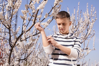 Little boy suffering from seasonal allergy outdoors on sunny day