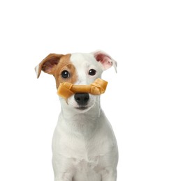 Cute Jack Russell Terrier with bone dog treat on nose against white background