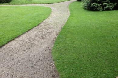 Photo of Pathway surrounded by beautiful green lawn outdoors. Landscape design