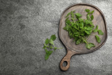 Fresh stinging nettle leaves on grey table, flat lay. Space for text