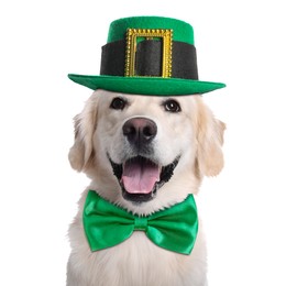 St. Patrick's day celebration. Cute Golden Retriever dog with leprechaun hat and green bow tie isolated on white