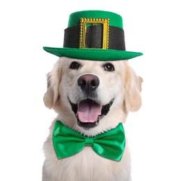 Image of St. Patrick's day celebration. Cute Golden Retriever dog with leprechaun hat and green bow tie isolated on white