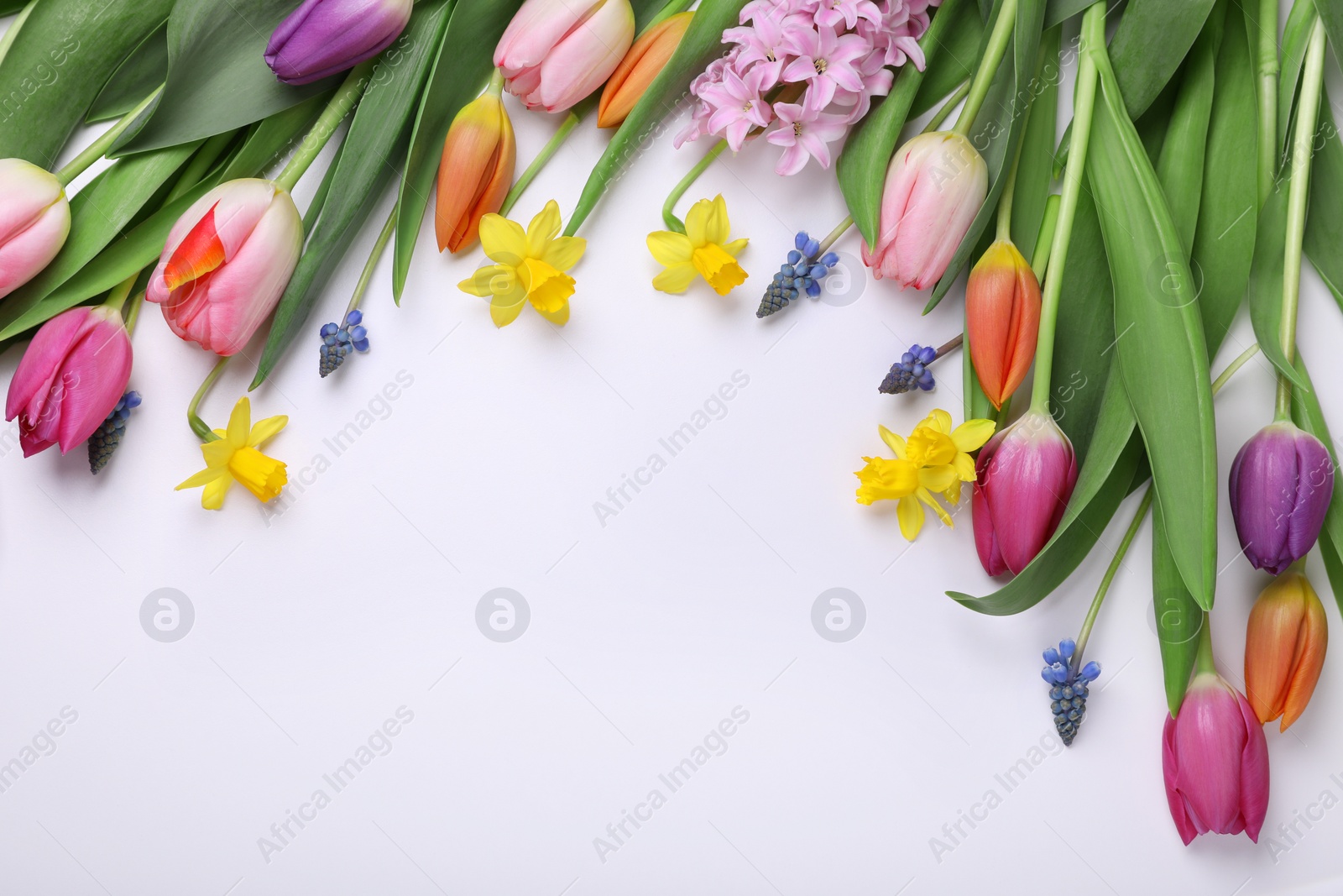 Photo of Beautiful flowers on white background, flat lay. Space for text