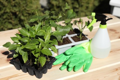 Photo of Seedlings growing in plastic containers with soil, rubber gloves and spray bottle on wooden table outdoors